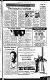 Hammersmith & Shepherds Bush Gazette Thursday 04 December 1980 Page 15