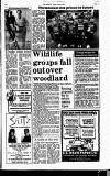 Hammersmith & Shepherds Bush Gazette Friday 19 April 1985 Page 15