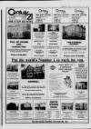 Hammersmith & Shepherds Bush Gazette Friday 09 December 1988 Page 73