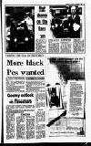 Sandwell Evening Mail Friday 04 September 1987 Page 11