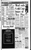 Sandwell Evening Mail Monday 29 February 1988 Page 29