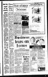 Sandwell Evening Mail Thursday 08 December 1988 Page 51