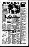Sandwell Evening Mail Saturday 12 January 1991 Page 19