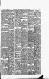 Buckinghamshire Examiner Wednesday 07 November 1894 Page 5