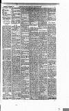 Buckinghamshire Examiner Wednesday 28 November 1894 Page 5