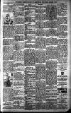 Buckinghamshire Examiner Friday 06 September 1901 Page 3
