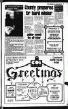 Buckinghamshire Examiner Friday 05 December 1980 Page 6