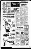 Buckinghamshire Examiner Friday 10 April 1981 Page 29