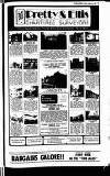 Buckinghamshire Examiner Friday 28 August 1981 Page 25