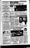 Buckinghamshire Examiner Friday 07 May 1982 Page 39