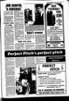 Buckinghamshire Examiner Friday 14 May 1982 Page 17