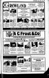 Buckinghamshire Examiner Friday 22 October 1982 Page 33