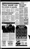 Buckinghamshire Examiner Friday 17 June 1983 Page 27