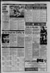 Buckinghamshire Examiner Friday 20 January 1984 Page 11