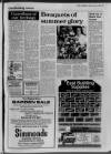 Buckinghamshire Examiner Friday 13 July 1984 Page 29