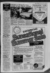 Buckinghamshire Examiner Friday 27 July 1984 Page 19