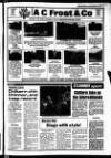 Buckinghamshire Examiner Friday 20 September 1985 Page 41