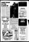 Buckinghamshire Examiner Friday 27 September 1985 Page 3