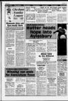 Buckinghamshire Examiner Friday 31 March 1989 Page 59