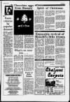 Buckinghamshire Examiner Friday 05 January 1990 Page 17