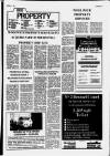 Buckinghamshire Examiner Friday 01 February 1991 Page 29