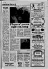Buckinghamshire Examiner Friday 15 January 1993 Page 41