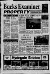 Buckinghamshire Examiner Friday 19 March 1993 Page 23