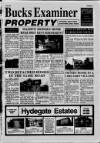 Buckinghamshire Examiner Friday 04 June 1993 Page 21