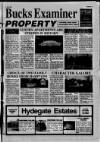 Buckinghamshire Examiner Friday 11 June 1993 Page 21