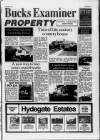 Buckinghamshire Examiner Friday 22 October 1993 Page 19