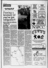 Buckinghamshire Examiner Friday 22 October 1993 Page 67