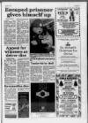 Buckinghamshire Examiner Friday 17 December 1993 Page 3