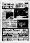 Buckinghamshire Examiner Friday 06 January 1995 Page 45