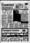 Buckinghamshire Examiner Friday 03 February 1995 Page 45