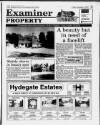 Buckinghamshire Examiner Friday 08 September 1995 Page 25