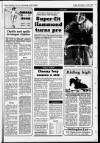 Buckinghamshire Examiner Friday 06 December 1996 Page 67