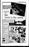 Hayes & Harlington Gazette Wednesday 13 January 1988 Page 15