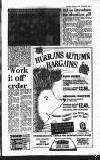 Hayes & Harlington Gazette Wednesday 10 October 1990 Page 13