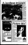 Hayes & Harlington Gazette Wednesday 09 September 1992 Page 17