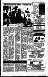 Hayes & Harlington Gazette Wednesday 27 January 1993 Page 17