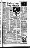 Hayes & Harlington Gazette Wednesday 01 September 1993 Page 61