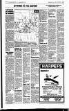 Hayes & Harlington Gazette Wednesday 08 June 1994 Page 19