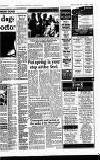 Hayes & Harlington Gazette Wednesday 12 April 1995 Page 21