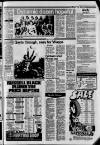 Harrow Observer Friday 03 April 1981 Page 15