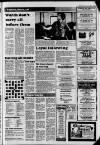 Harrow Observer Friday 03 April 1981 Page 19