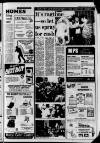 Harrow Observer Friday 10 April 1981 Page 13