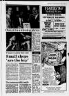 Harrow Observer Thursday 05 December 1985 Page 17