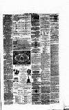 Folkestone Express, Sandgate, Shorncliffe & Hythe Advertiser Saturday 06 March 1875 Page 3