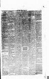 Folkestone Express, Sandgate, Shorncliffe & Hythe Advertiser Saturday 20 March 1875 Page 7