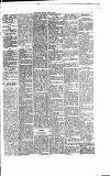 Folkestone Express, Sandgate, Shorncliffe & Hythe Advertiser Saturday 19 June 1875 Page 5